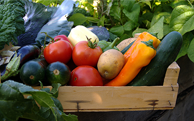 400 x 250 seasonal vegis